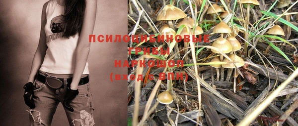 мяу мяу мука Ладушкин