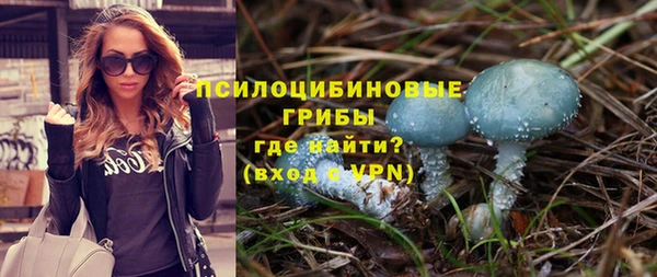 мяу мяу мука Ладушкин