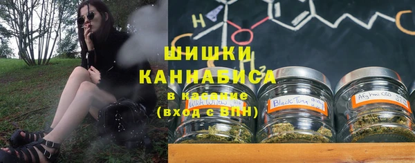 дурь Лабытнанги